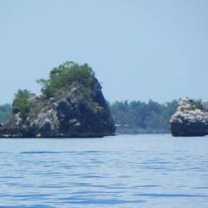 Meet your Posher, Connie